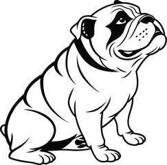 english bulldog puppy