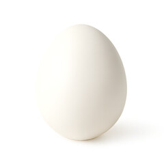 Single White Egg Isolated on White Background