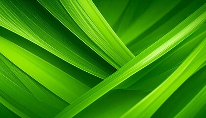 green leaf background