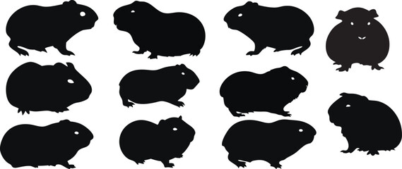Collection of guinea pig silhouettes in different poses, perfect for pet logos, educational materials, High-quality black vector of cute guinea pig illustrations, isolated on white background.