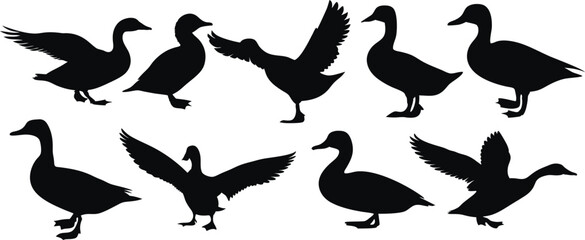 Set of duck silhouettes in various poses, ideal for farm logos, wildlife designs, and educational use. High-quality black vector of domestic and wild ducks, Duck isolated on white background.