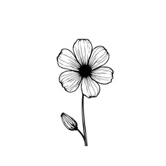 Elegant minimalist line art illustration of a blooming flower with bud detail