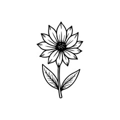 Elegant monochrome floral illustration with delicate petal and stem detailing
