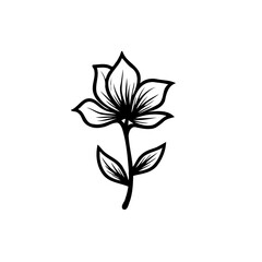 Elegant floral bloom illustration emphasizing refined botanical simplicity design