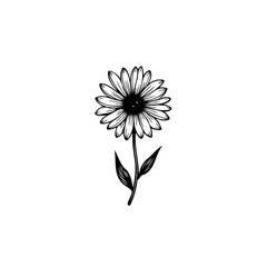 Delicate Black and White Daisy Illustration with Stylized Petals and Leaves