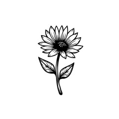 Elegant monochrome sunflower botanical illustration for design projects and creative use