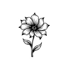 Elegant monochrome floral illustration of a blossoming flower with stem and leaves