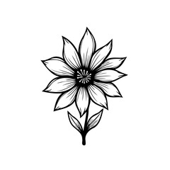 Detailed monochrome floral drawing showcasing botanical artistry and graceful simplicity