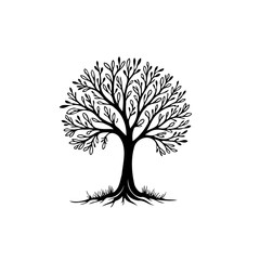 Elegant silhouette of a flourishing deciduous tree set against a bright white space