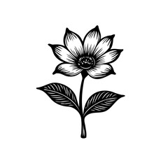 Elegant botanical illustration of a stylized blossom with detailed shading