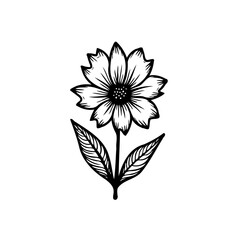 Elegant monochrome floral illustration with detailed line work and botanical elements