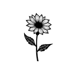 Elegant monochrome rendering of a blossoming sunflower with detailed petals