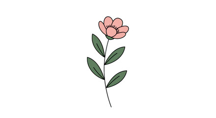 Simple floral illustration design