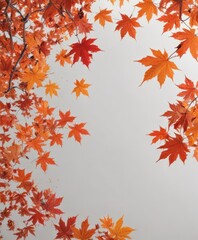 Vibrant red and orange maple leaves falling against a stark white backdrop ,  orange leaf,  image