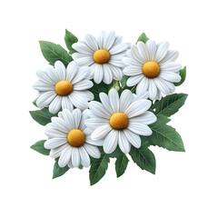 Fototapeta premium Beautiful white daisy flowers with green leaves in a floral bouquet isolated on a transparent background, in a PNG format