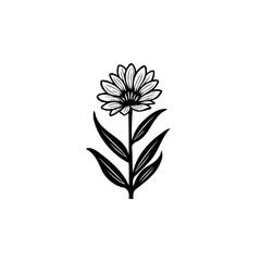 Minimalist floral illustration showcases a delicate blossom in monochrome elegance