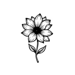 Elegant monochrome floral drawing with detailed petal and leaf line work