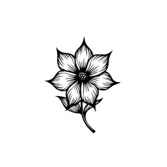 Obraz premium Elegant botanical drawing of a flower in black and white minimalist style
