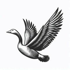 Obraz premium Soaring Goose Engraved Flight on White