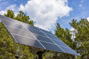 A  solar panel stands in a lush green forest, harnessing nature's energy.