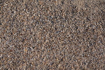 Close-Up View of Various Small Shells and Rocks on Sandy Beach Ground Natural Texture