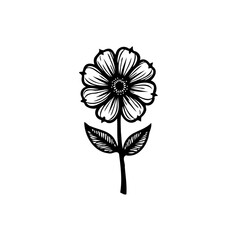 Elegant floral illustration featuring a stylized flower on a white background