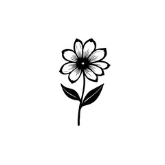 Elegant floral botanical illustration on white background, minimalist design