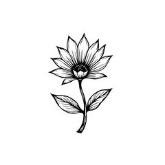 Elegant monochrome botanical illustration showcasing a blooming floral blossom