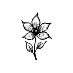 Elegant botanical drawing, minimalist single flower with detailed line work art
