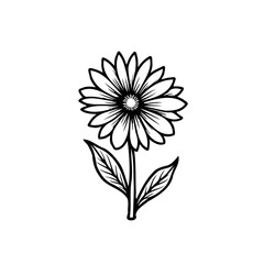 Elegant depiction of a single daisy flower with detailed petals and leaves