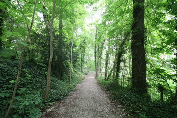 Le parc municipal de Bellecour, parc public, ville de Pithiviers, département du Loiret, France