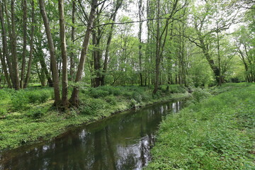 Le parc municipal de Bellecour, parc public, ville de Pithiviers, département du Loiret, France
