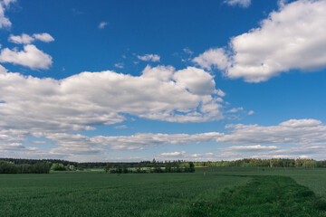 Obraz premium Spring Landscape of Vysočina, Czech Republic with Fields, Meadows, and Forests