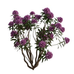 Vibrant Purple Rhododendron Bush Stunning Floral Image for Design Projects