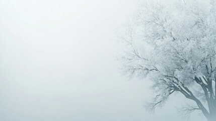 Fototapeta premium Winter's Embrace: A Frosty Tree in Misty Serenity