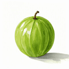  Frosted Veil of Tart gooseberries isolated watercolor vector illustration svg