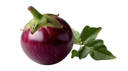 The Majestic Aubergine: A lustrous aubergine with a vibrant, deep purple hue, stands in elegant simplicity, accompanied by its verdant leaf. A captivating still life. 