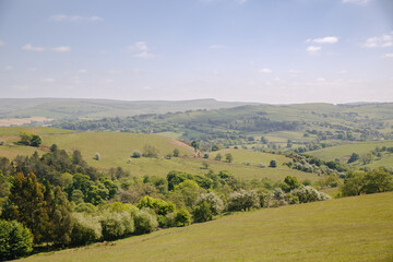 Fototapeta premium Rolling Hills and Woodland in the Peak District