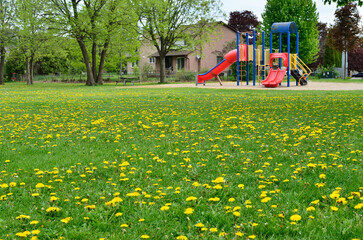Ground level view of a Colorful playground structure with two slides in a residential area park,
