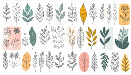 Fototapeta premium Botanical Doodle Art Vector Set Floral and Leaf Abstract Designs for Wallpaper Print and Home Decor