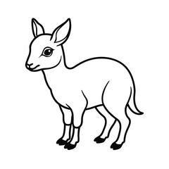 black and white clean vector illustration of patagonian mara drawi