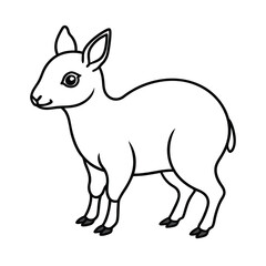 clean vector illustration of patagonian mara drawi