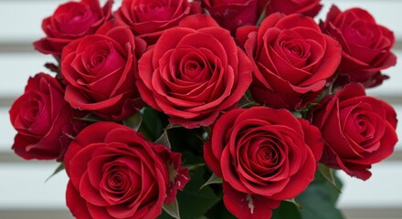Obraz premium A bouquet of vibrant red roses in full bloom, capturing their velvety textures and rich hues