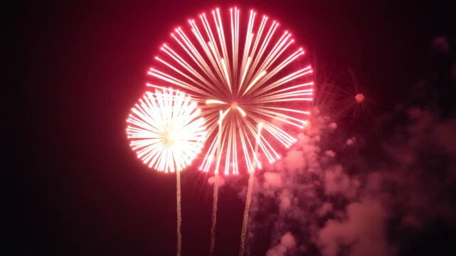 Beautiful colored bright sparkling fireworks in the night sky in honor of the holiday. New year, wedding, birthday, christmas, independence day