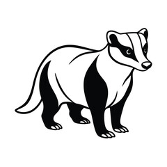 clean vector line drawing of european badger © nurealom