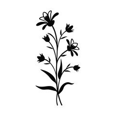 Wild Flower of old Diary-11