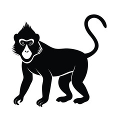 mandrill baby face animal vector silhouette