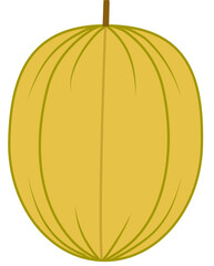 Golden Gooseberry: Simple Illustration of a Ripe Fruit