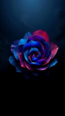 Mesmerizing High-Contrast Digital Artwork A Flux Schnell Rose