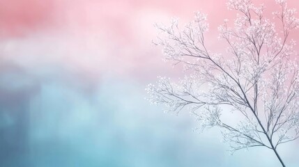 spring in the forest